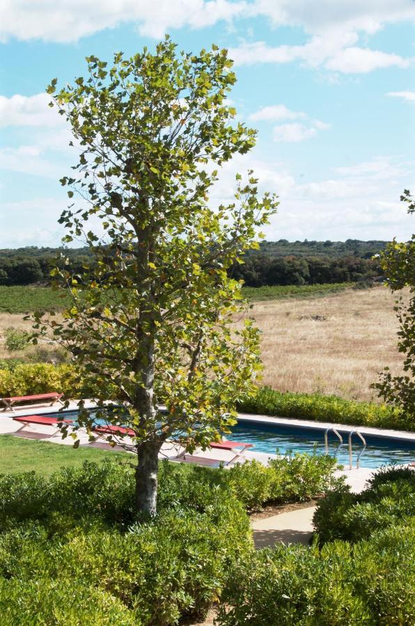 Village Castigno - Wine Hotel & Resort Assignan Luaran gambar